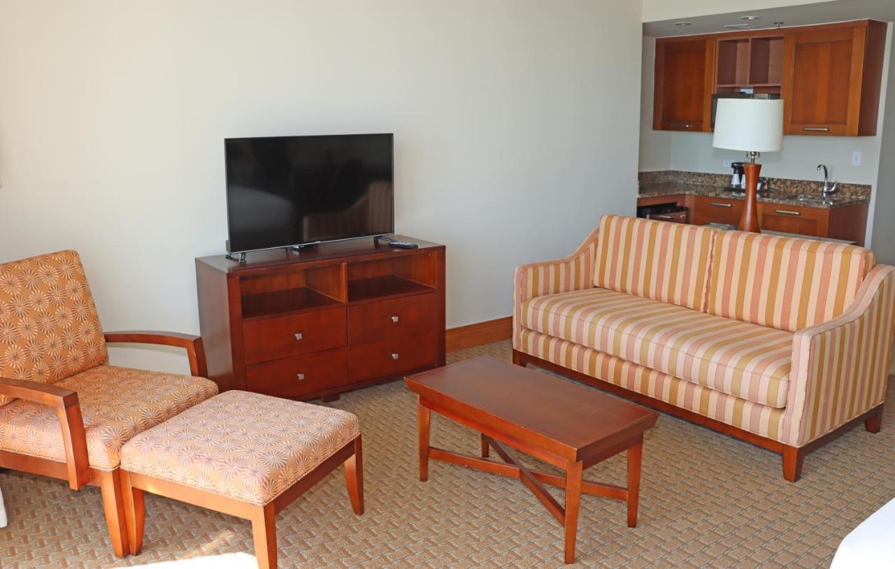 Elite Studio Suite